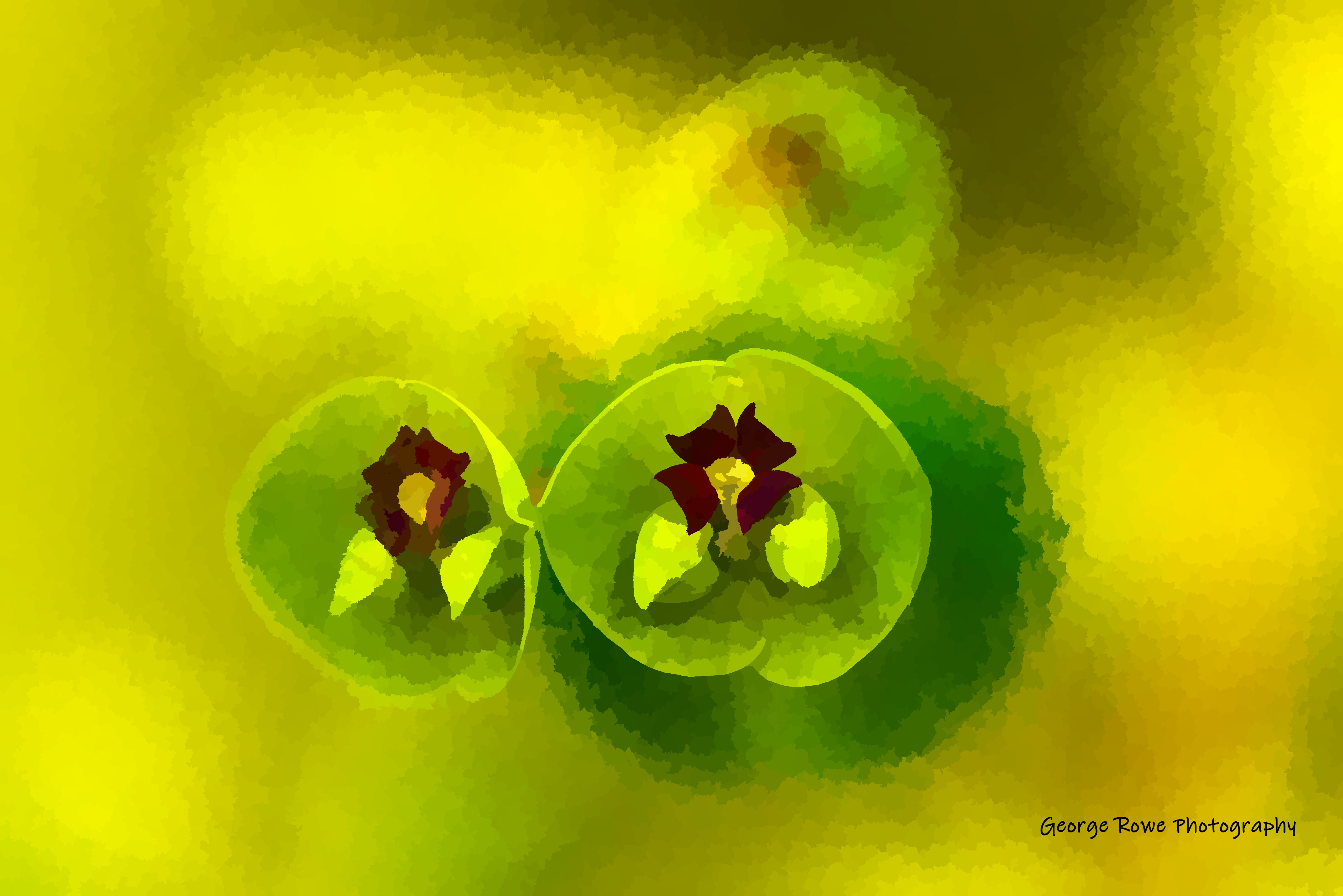 Artistic-Photo 1