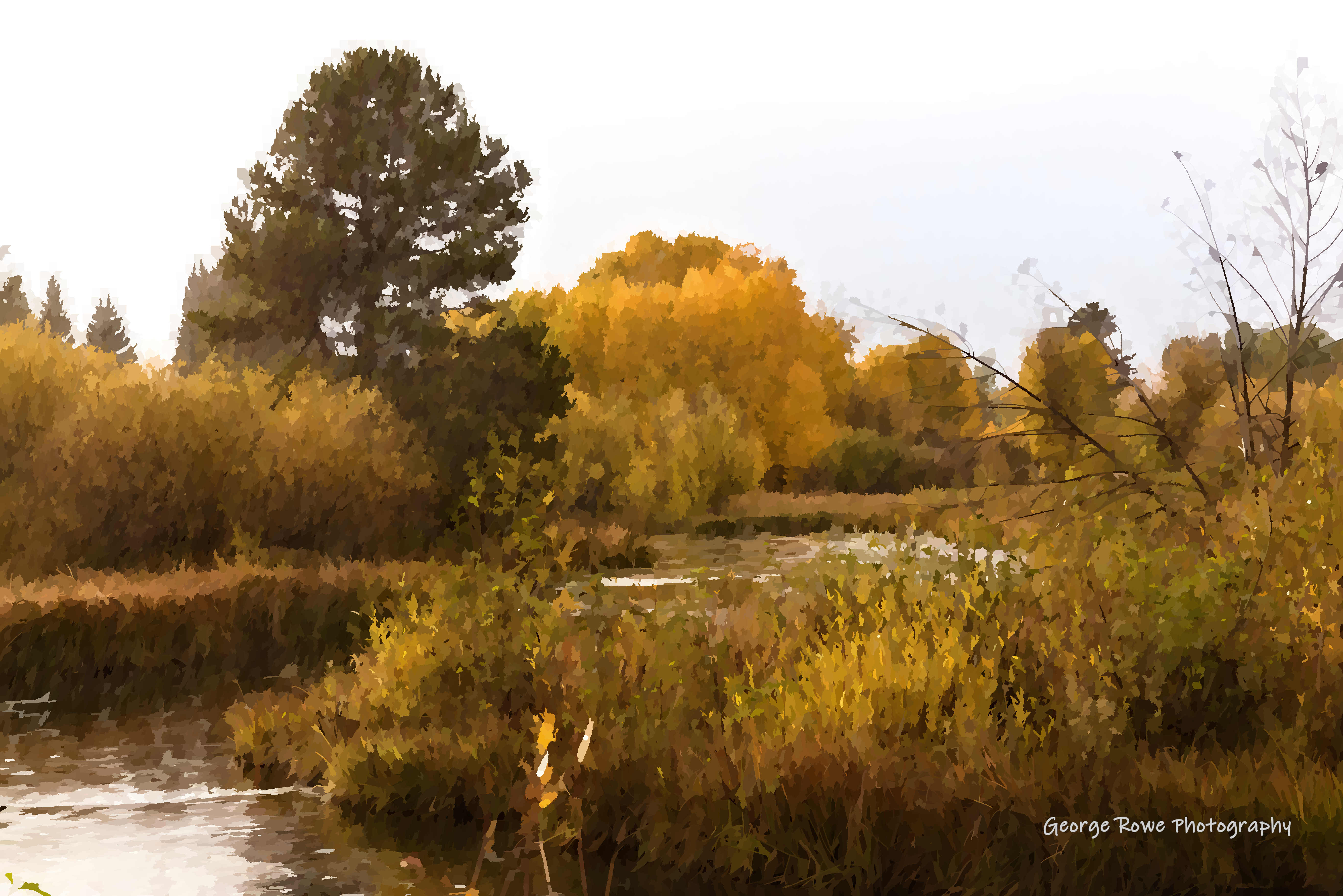 Artistic-Photo 6