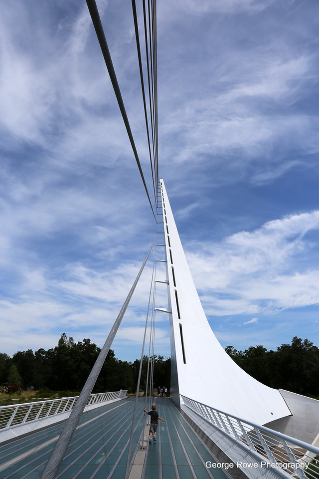 Bridges-Photo 1
