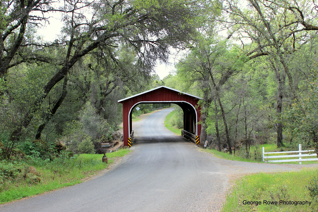 Bridges-Photo 3