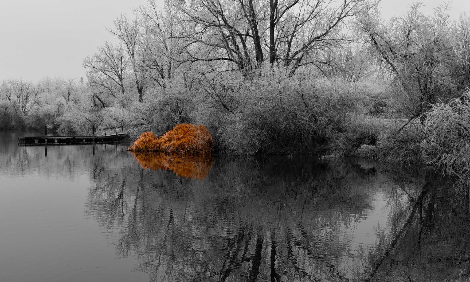Selective Colorization